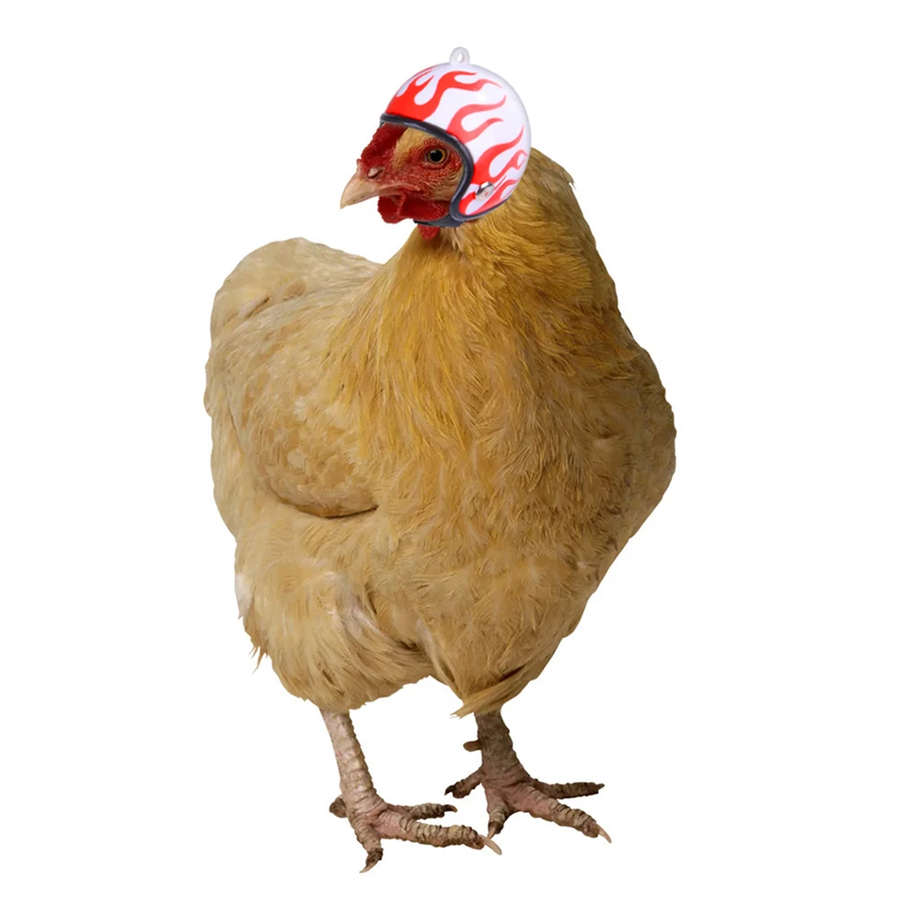 Funny Chicken Helmet Small Bird Duck Quail Hard Hat Headgear Prevent The Chicken From Smash Protect for Hens Head Small Pet