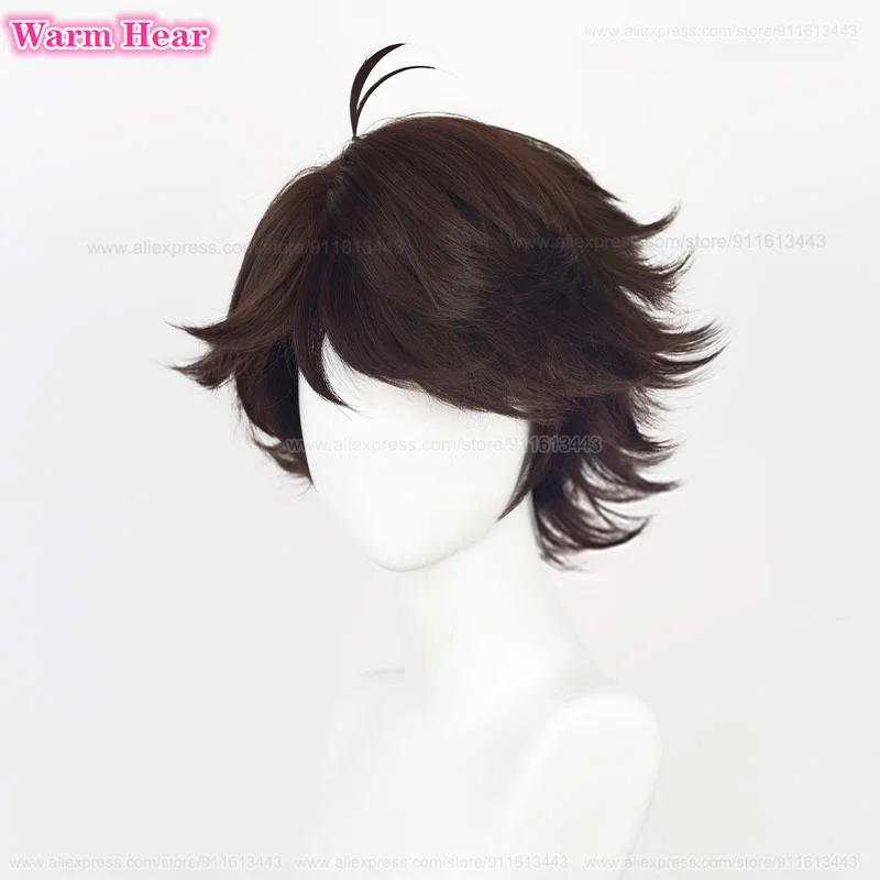 High Quality Oikawa Tooru Synthetic Wig Anime Cos!! 28cm Dark Brown Cosplay Wig Heat Resistant Hair Hallowee Party Wigs +Wig Cap