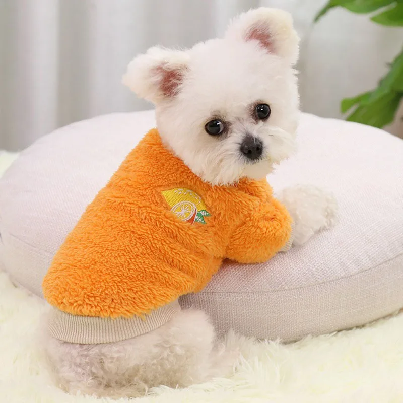 Warm Two Legs Dog Clothes Pet Winter Sweatshirt Small and Medium Dogs Fruit Pullover Teddy New Year Clothing XS-XL