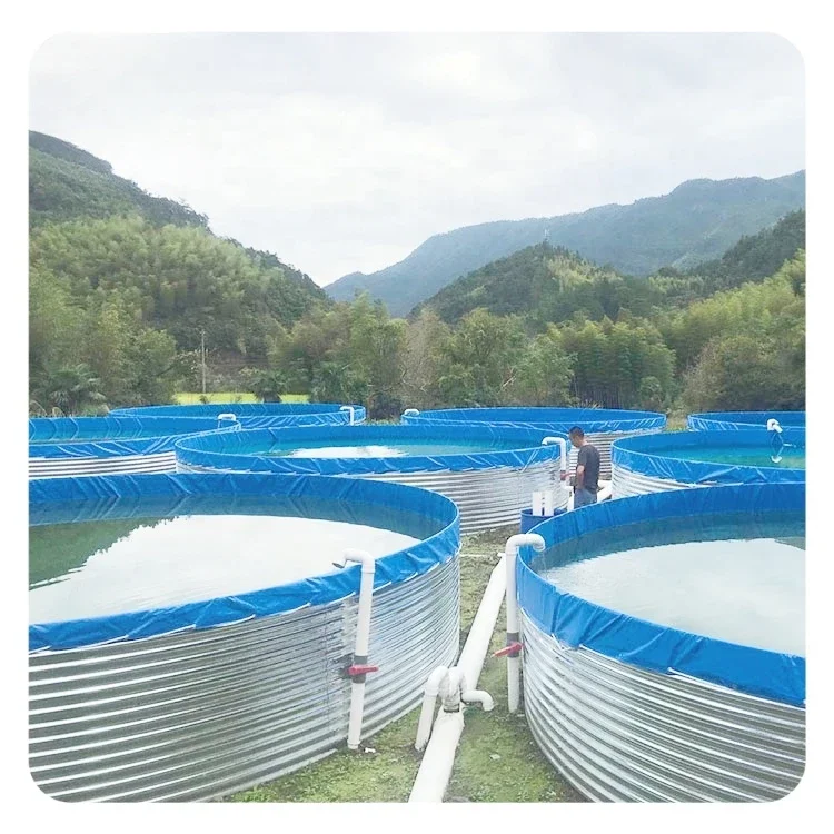 Piscine d'Élevage de Poissons en PVC, Étang TarLII, Réservoirs de Tilapia en Plastique, ShriAJFskins, Équipement pour Peaux de Poisson