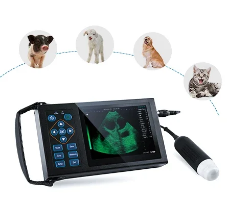 

M10 Handheld Test Uterine Disease Pregnancy Scanner Machine Portable Ultrasound Veterinary