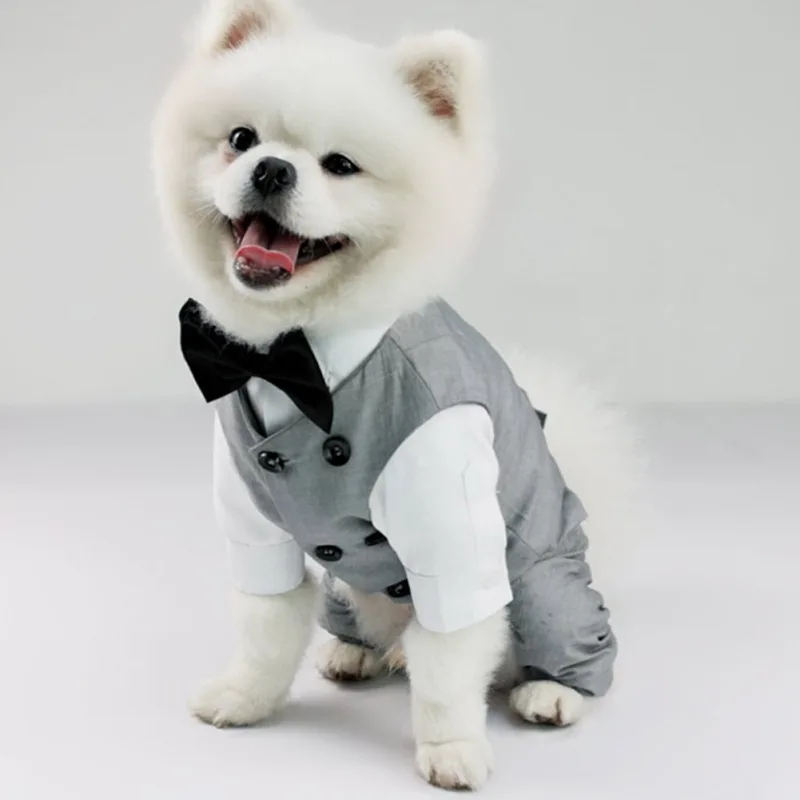 Chemise de gentleman pour chien simple pour les occasions formelles, animal de compagnie, fête de mariage, mode trempée, glaçure pour chiot, costume photo pour chat à quatre pattes