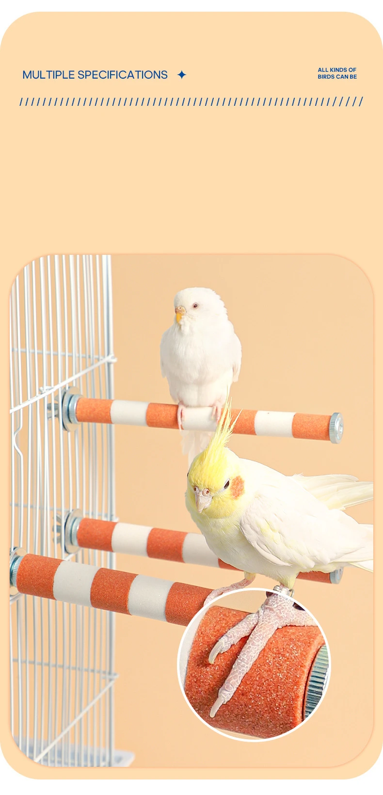 Thumbnail 4 - #48 Bird Perch Stands Comparison Guide