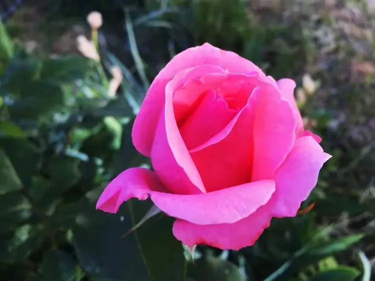 

Metal Chassis Link Rod Pull Rod Mount Shock Mount Servo Bracket Set C64 1/16 RC Car Upgrade Parts Accessories