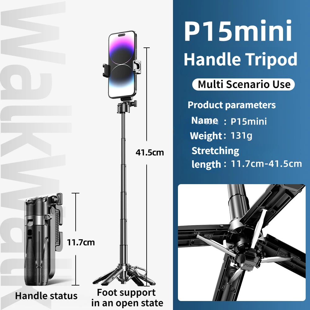 Mini Selfie Stick Tripod 3 in 1 Phone Stand with Detachable Remote Multifunctional Tripod Portable for Tourism Concert Shooting