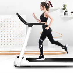 Electric Foldable Treadmill Mini Home Gym Exercise Walking Pad Fitness Original Running Machine Household Treadmill Small 2024