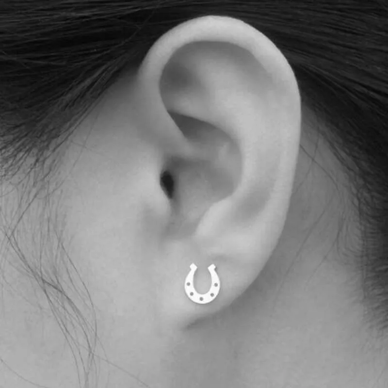 

Fashion U Shaped Earrings Studs for Women Luxury Horseshoe Stainless Steel Earings Simple Jewelry Ear Cartilage Piercing Gifts