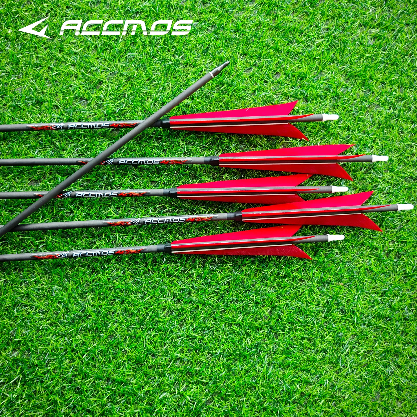 جديد صحيح ريشة السهم ID6.2 الكربون النقي السهم الهدف السهم اطلاق النار الصيد التدريب العمود الفقري 250-800 الأحمر على شكل ريشة بيضاء نوك #1