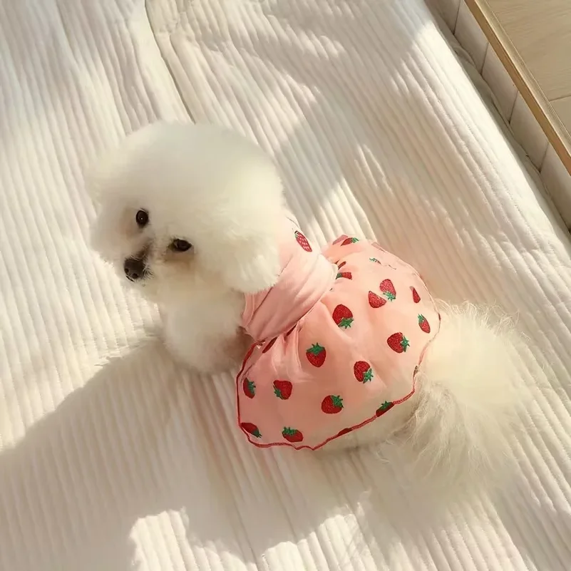 夏用薄手子犬用プリンセススカート犬服可愛いペット犬用ドレス小 - Pet Supplies York のレビューと価格