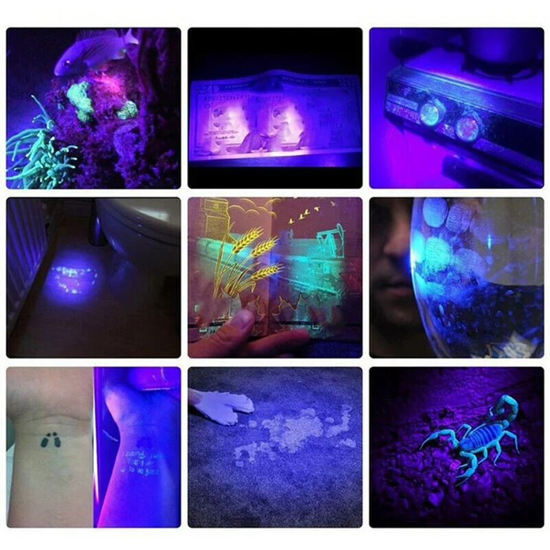 395Nm UV Light Flashlight Blacklight USB Rechargeable LED Flashlight Waterproof Inspection Pet Urine Torch Lamp