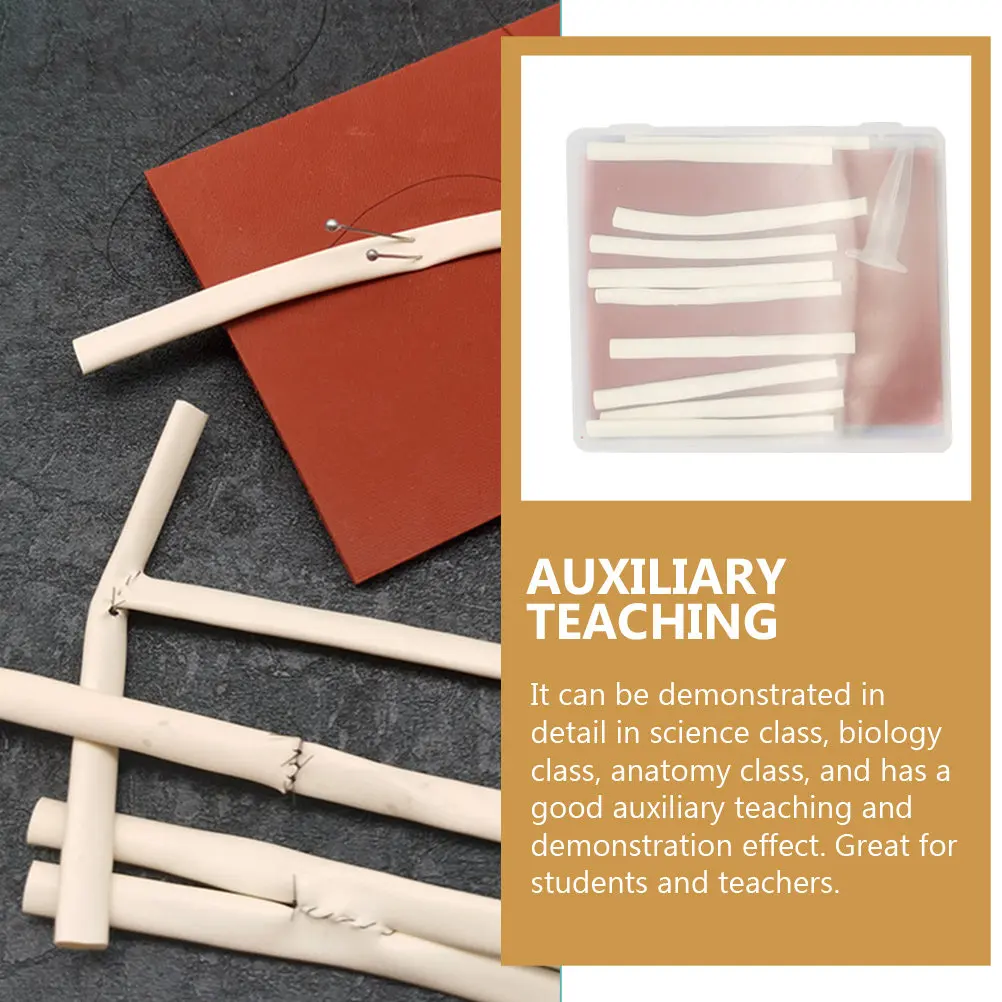 

Набор для тренировки наложения швов на кровеносные сосуды: симулятор для обучения студентов и специалистов в области медицинской анатомии