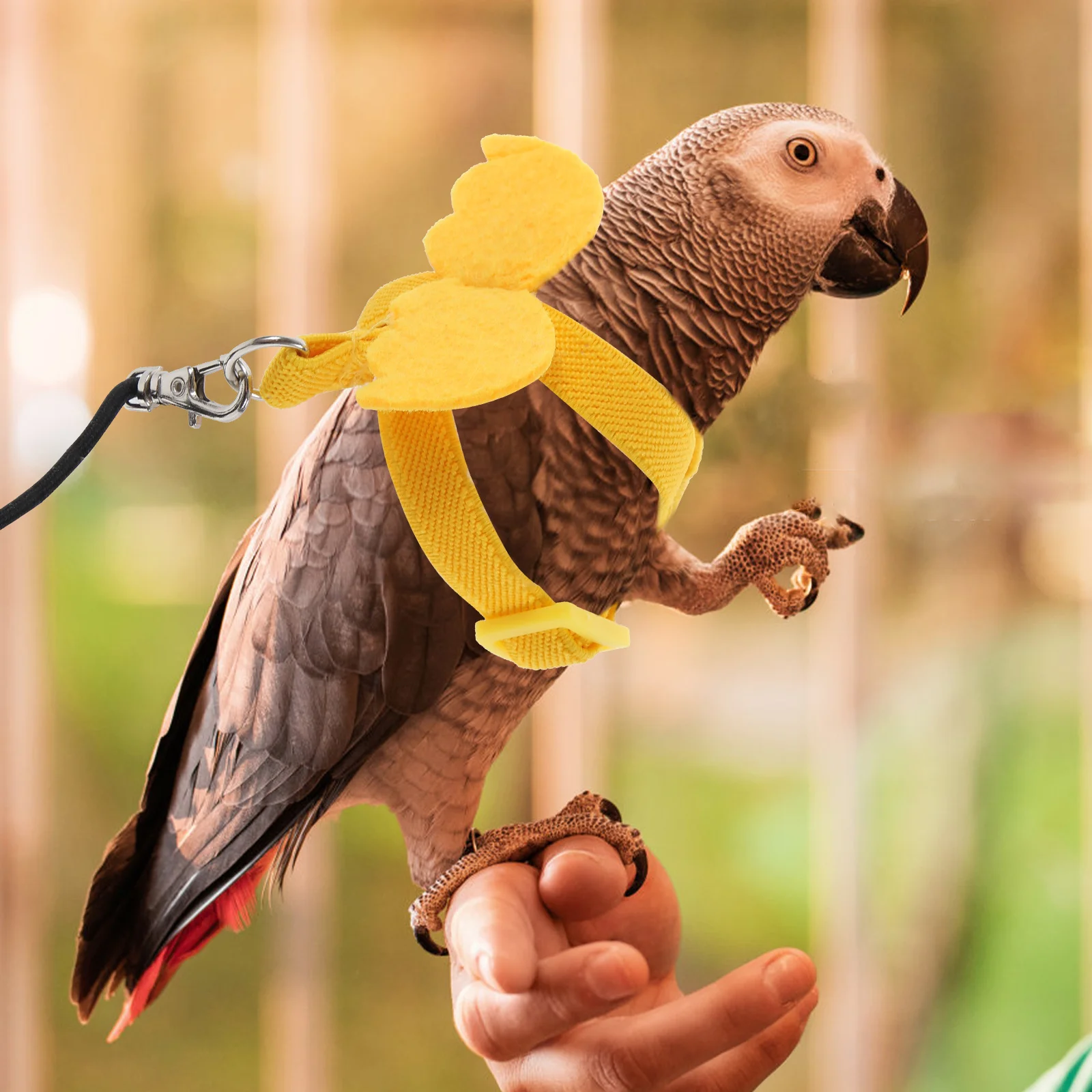 

Bird Leash Wear-Resistant Portable Parrot Harness Lightweight Elastic Bird Harness Outdoor Daily Use Parrot Leash