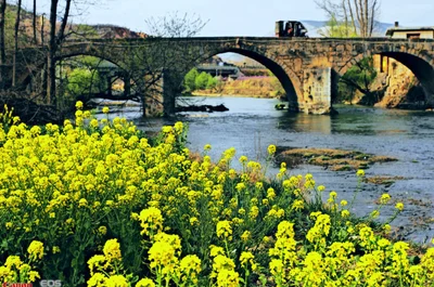 

12V 100Ah LiFePO4 Battery Wattcycle Packs Grade A Cells Rechargeable For Outdoor / Home Storage Lithium Iron Phosphate Batteries