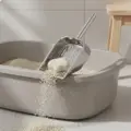 Ss Handle