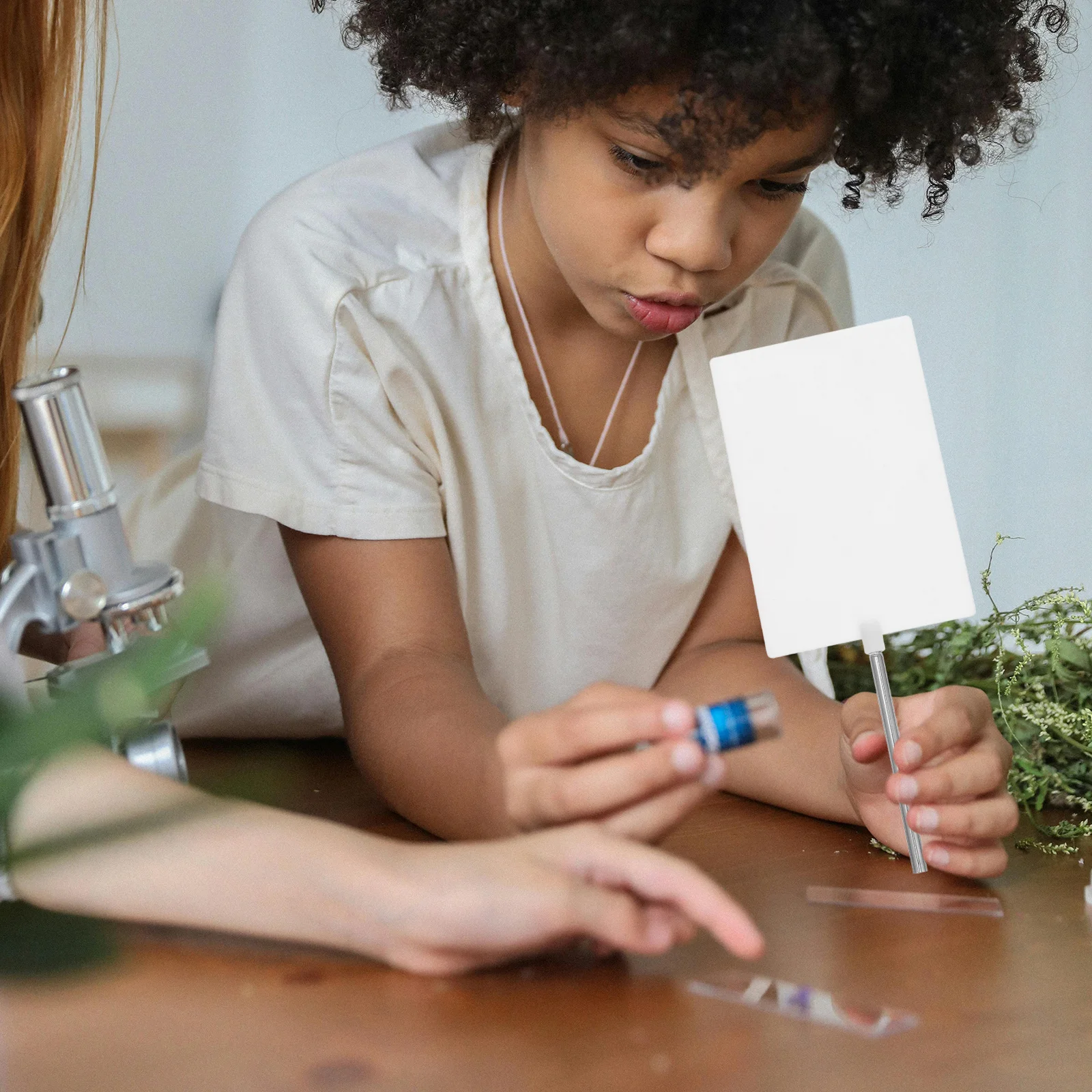 White Light Screen Optical Lens For Physics Teaching Matte Surface Scientific Experiment Equipment High School Lab Tool