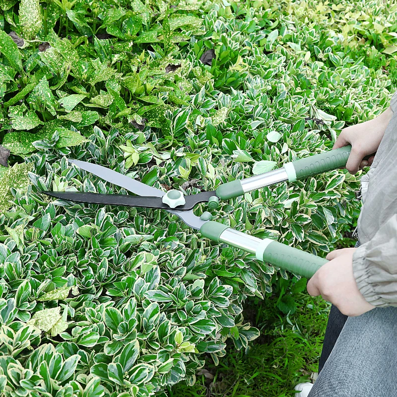 

2022 Potted Trim Weed Branches Garden Flower Sharp Scissors Pruning Shears Fence High Branch Tool for