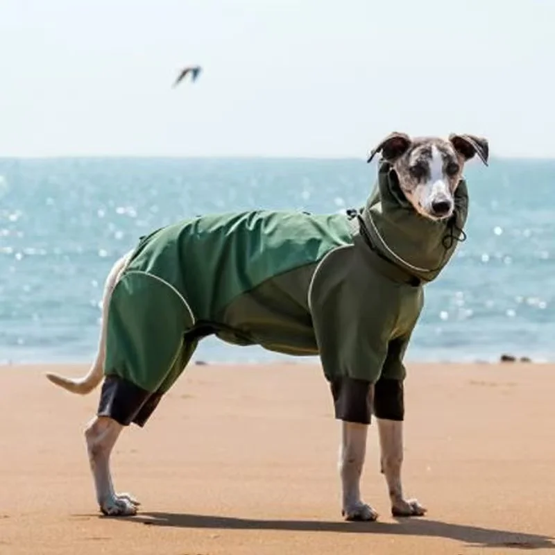

Windproof Adjustable High Neck Jacket for Italian Greyhound Waterproof Raincoat With Reflective Stripe for Whippet Dogs