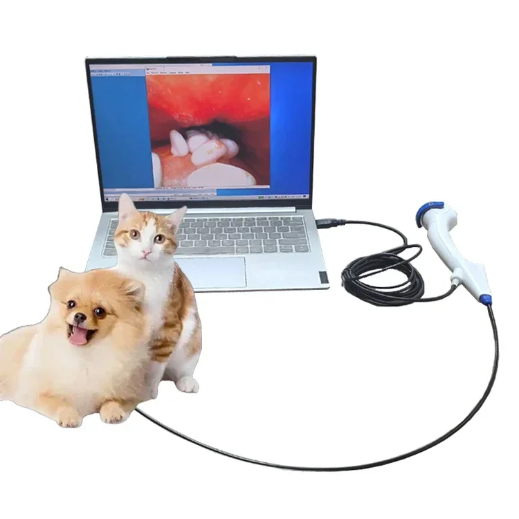 New 2025 Customized  Hospital Medical Port  le Video Bronchoscopy Endoscope  Veterinary Endoscope