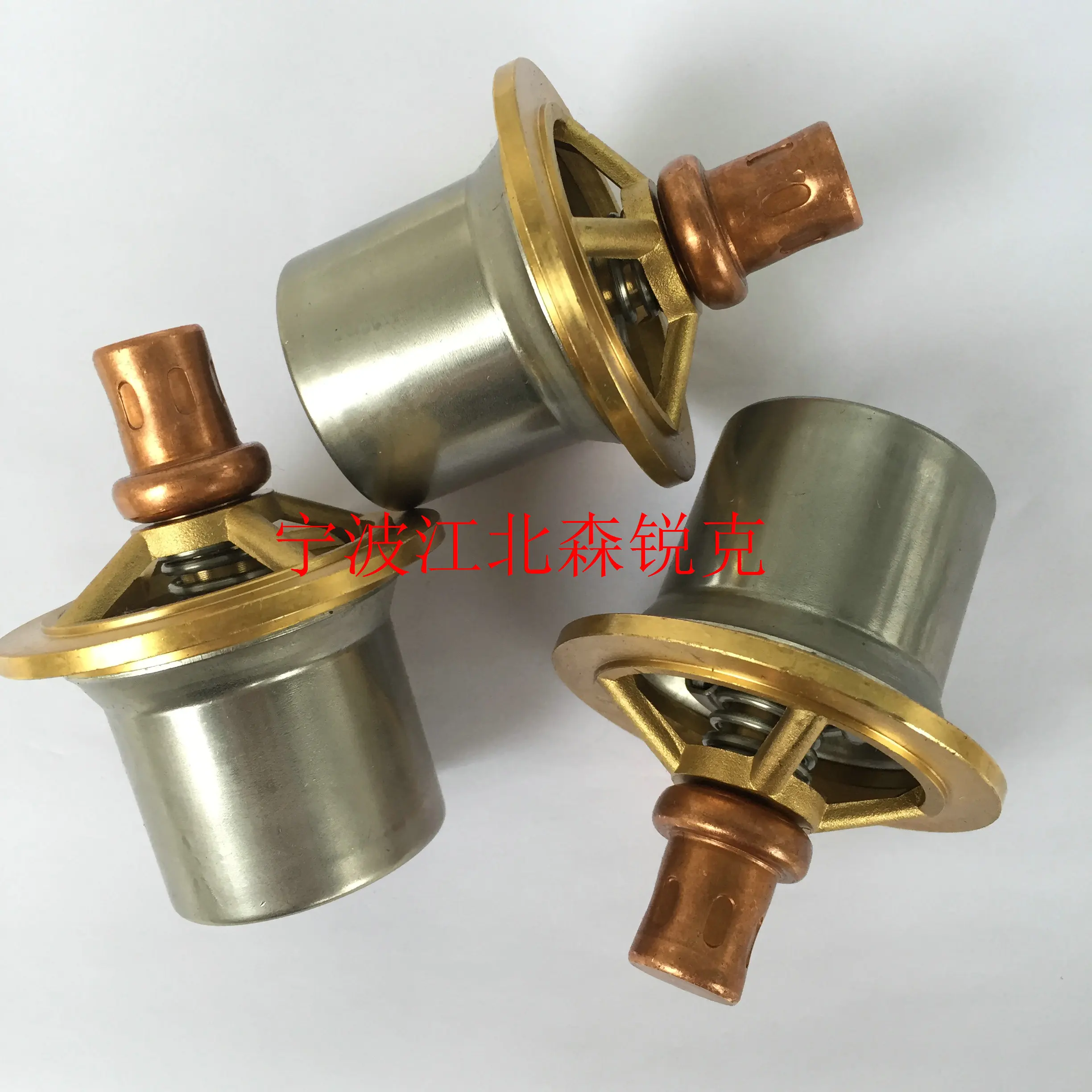 

Thermal Control Valve Assembly TV12