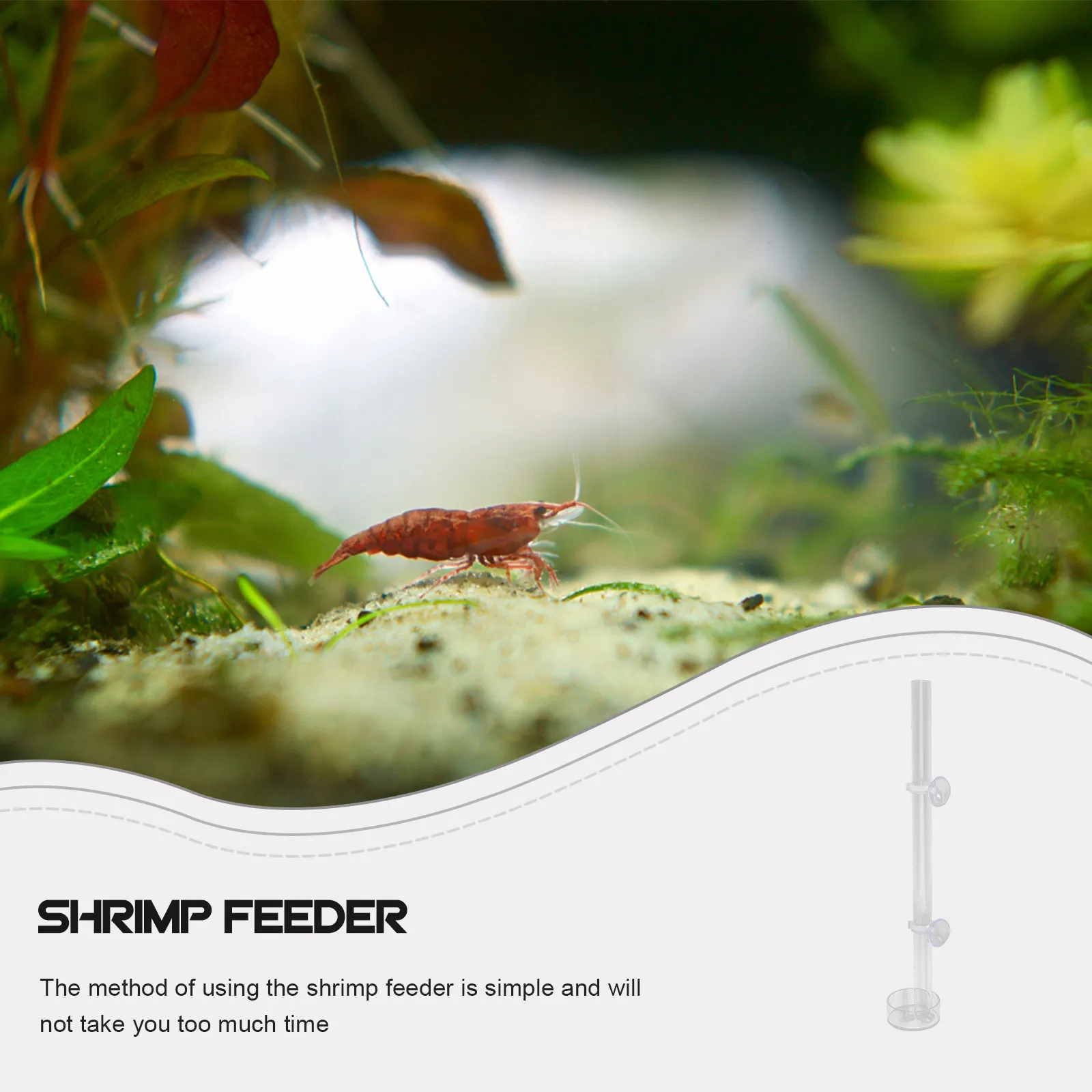 Aquarium Shrimp Feeder Tube Clear Fish Feeding Tool with Suction Cup for Easy Food Distribution
