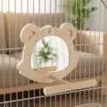 Raccoon Mirror Stand