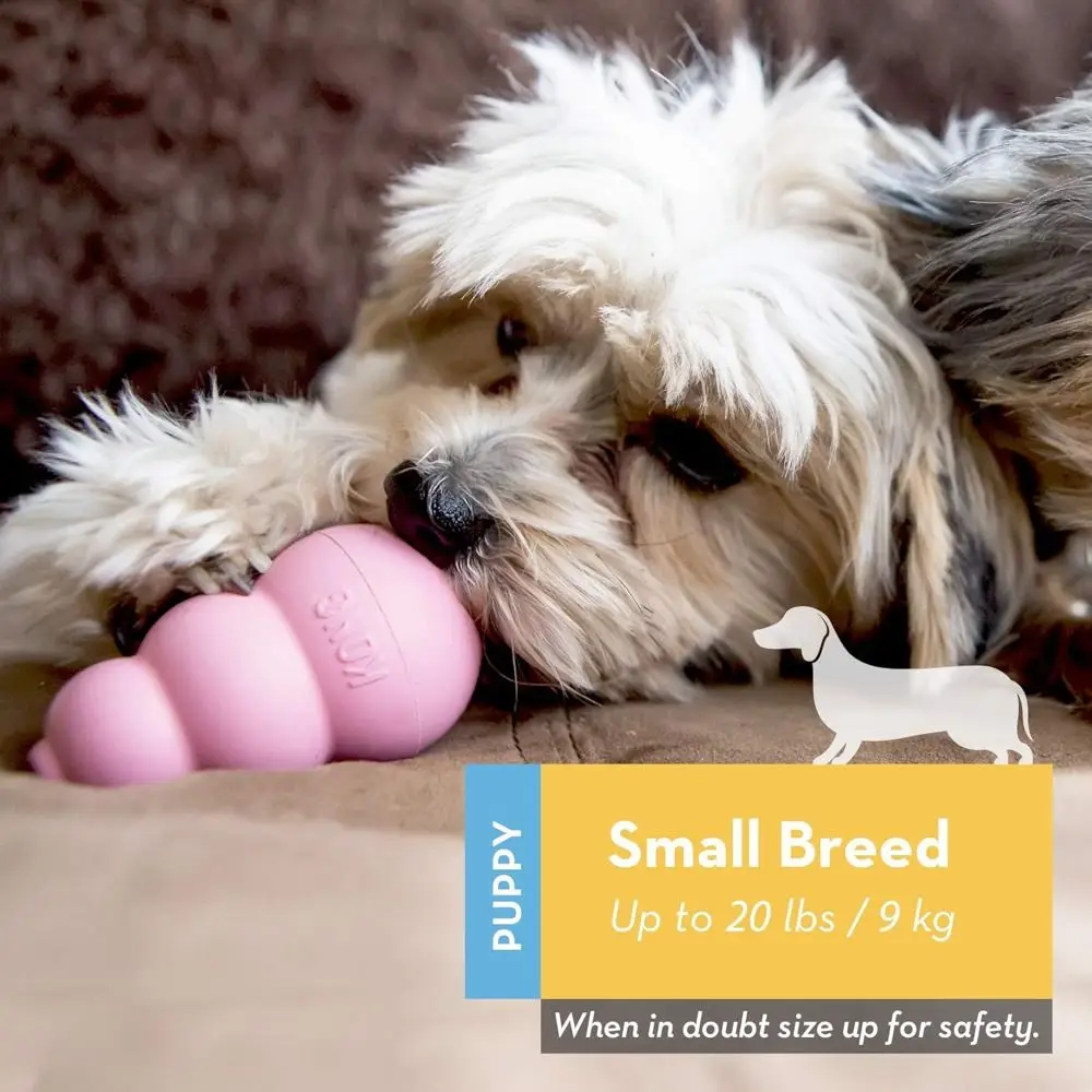 Thumbnail 2 - #28 Trending Rubber Dog Toys Right Now