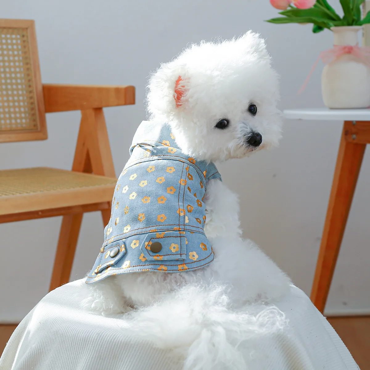 Thumbnail 3 - #73 Best Cat Apparel to Buy In 2026