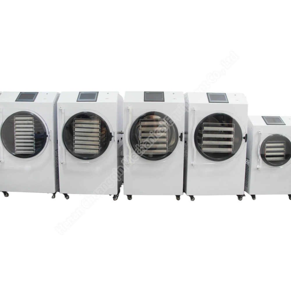 Hot Selling Home Use Freeze Dryer Coffee New Vacuum Pump Freeze Drying Equipment