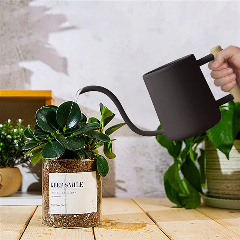 

ABUN-Поливающая банка для комнатных растений, 35 унций/1000 мл, металлическая лейка из нержавеющей стали, горшок с длинным носиком для внутреннего дома