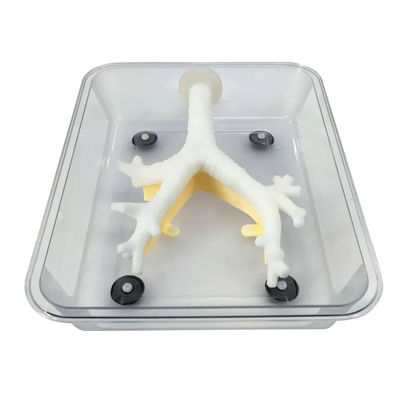 Bronchoscopy Training Simulator Fibrous Bronchial Practice Secondary Branch Reusable Fiberoptic Bronchoscopy Manikin