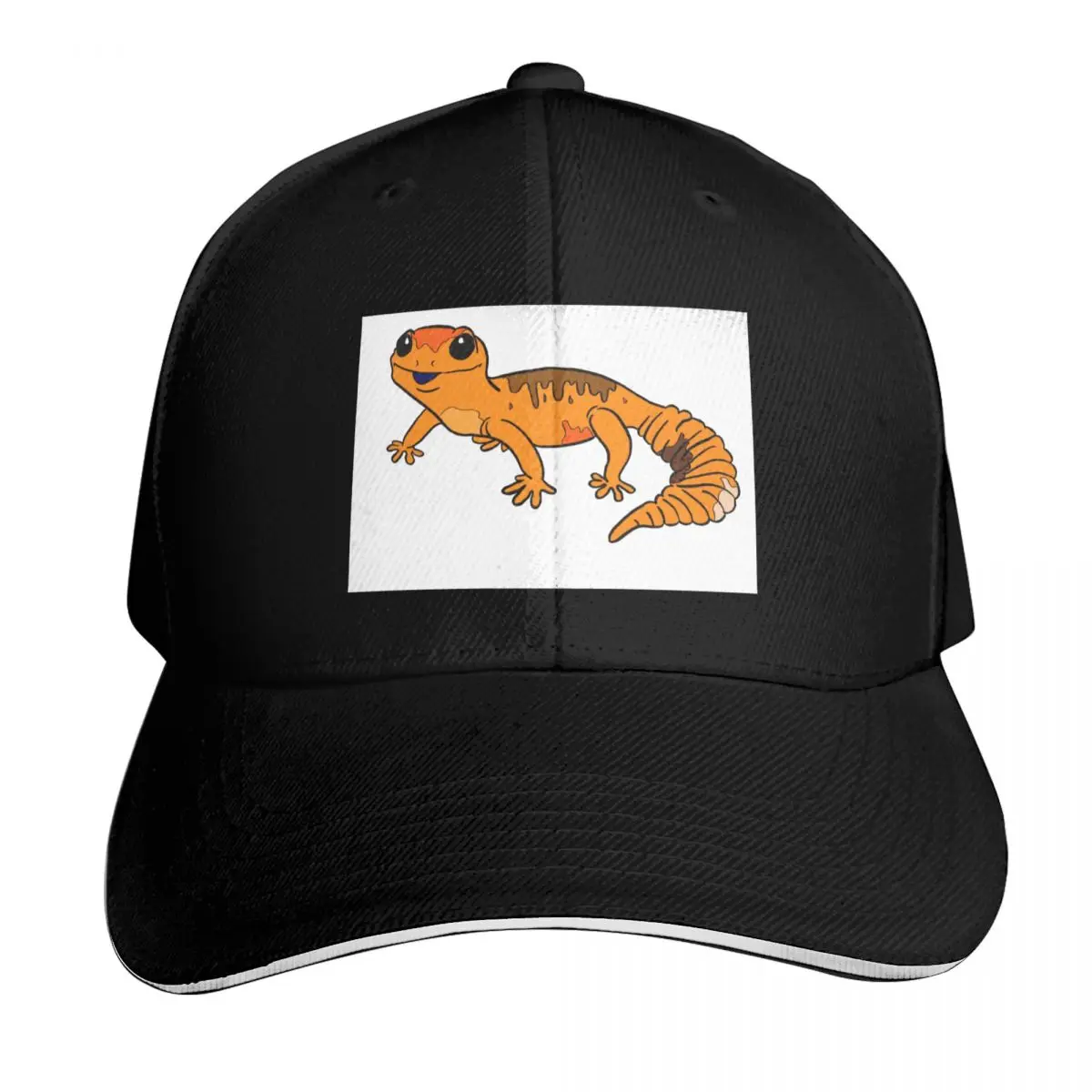 Gecko boy Baseball Cap Contrast Two Tone Brim Snapback Flat Bill Strapback Dad Hat
