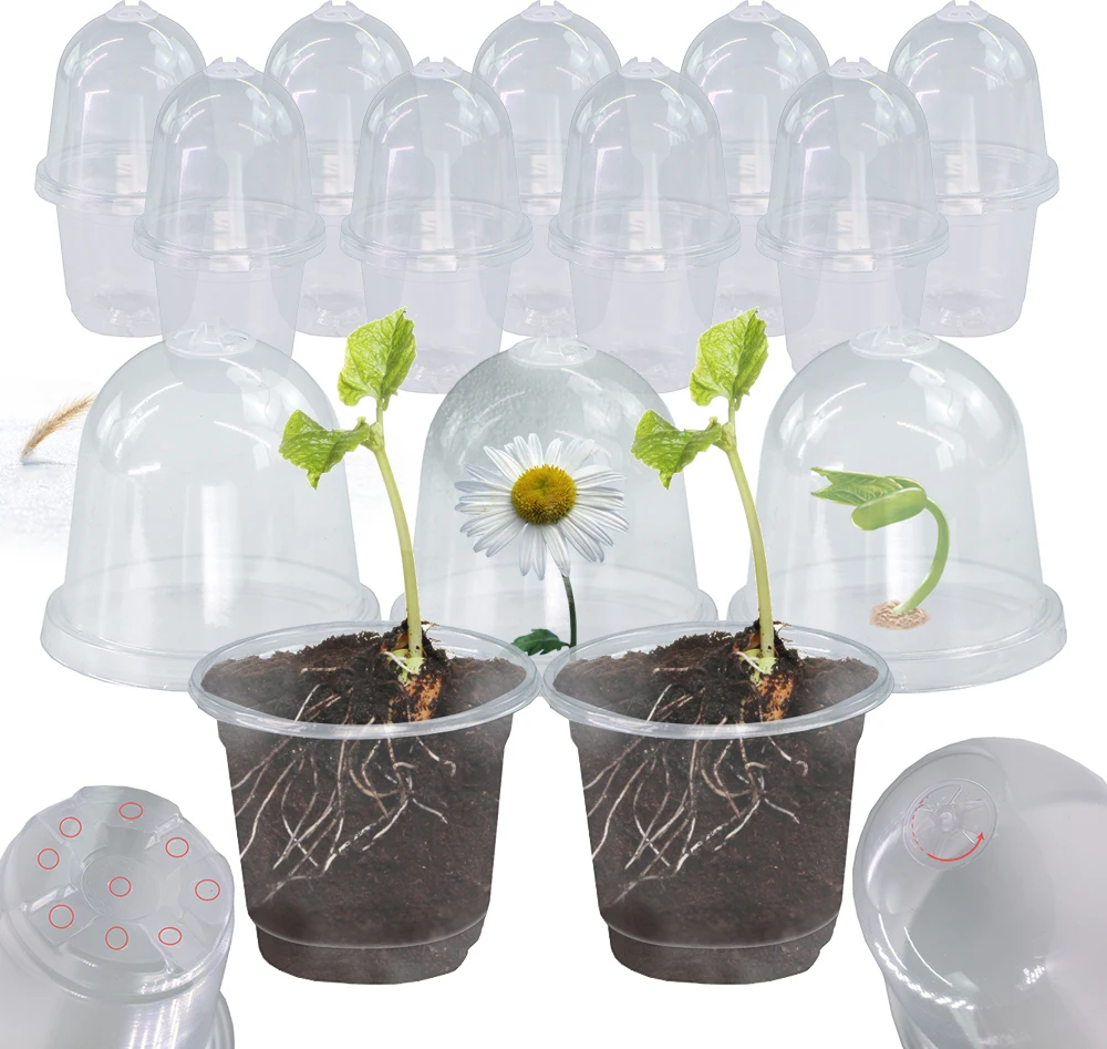 170x105MM Clear 4-Inch PET Seedling Cup with Lid Transparent Nutrient Pot Robust Seedling Development Container Easy Monitoring