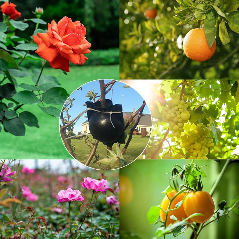 20Pcs Reusable Plant Root Grow - Plant Growth Regulator recension och pris