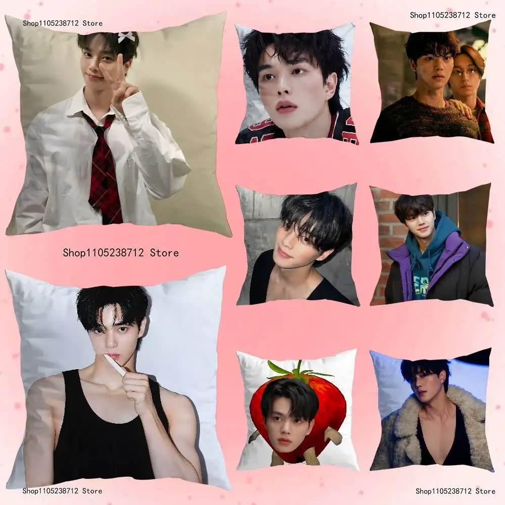 

Korean actor S-Song K-Kang Pillow Covers Cartoon Sofa Decorative Home Double-sided Printing Short Plush Cute Cushion Cover