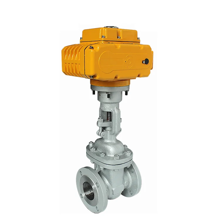 1Inch Cast Iron Two ways ANSI flange AC220V Multi Turn Gate Valve