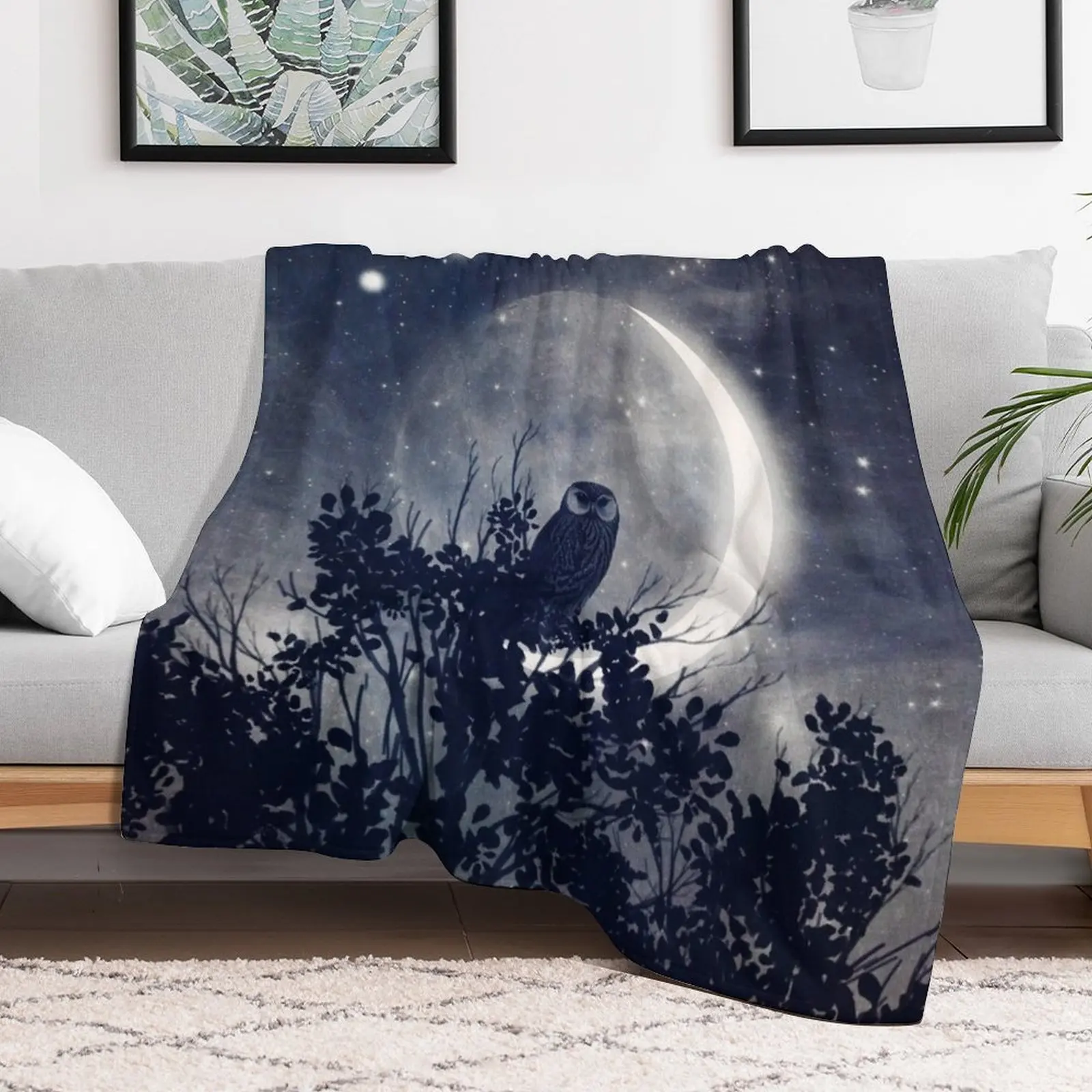 A Night with Venus and Jupiter Throw Blanket decorative halloween Furrys Winter beds Blankets