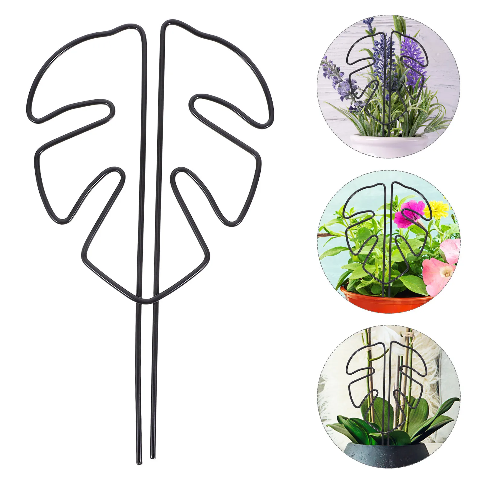 

Reusable Monstera Leaf Plant Stake Growth Support Stand for Upright Plant Growth Prevent Tipping Indoor Outdoor