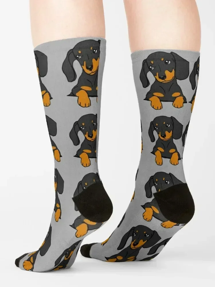 Dachshund Puppy in Your Pocket Grey Socks warm winter professional running basketball summer Boy Socks Women's