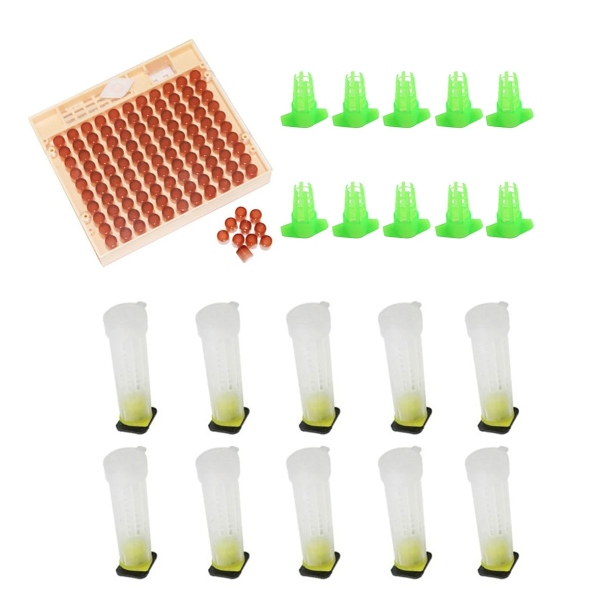 1 Set Queen Bee Raising Tool Kit Queen Raising Base with 120Pcs Brown Raising Cup Green & Transparent Queen Cage Beekeeping Tool