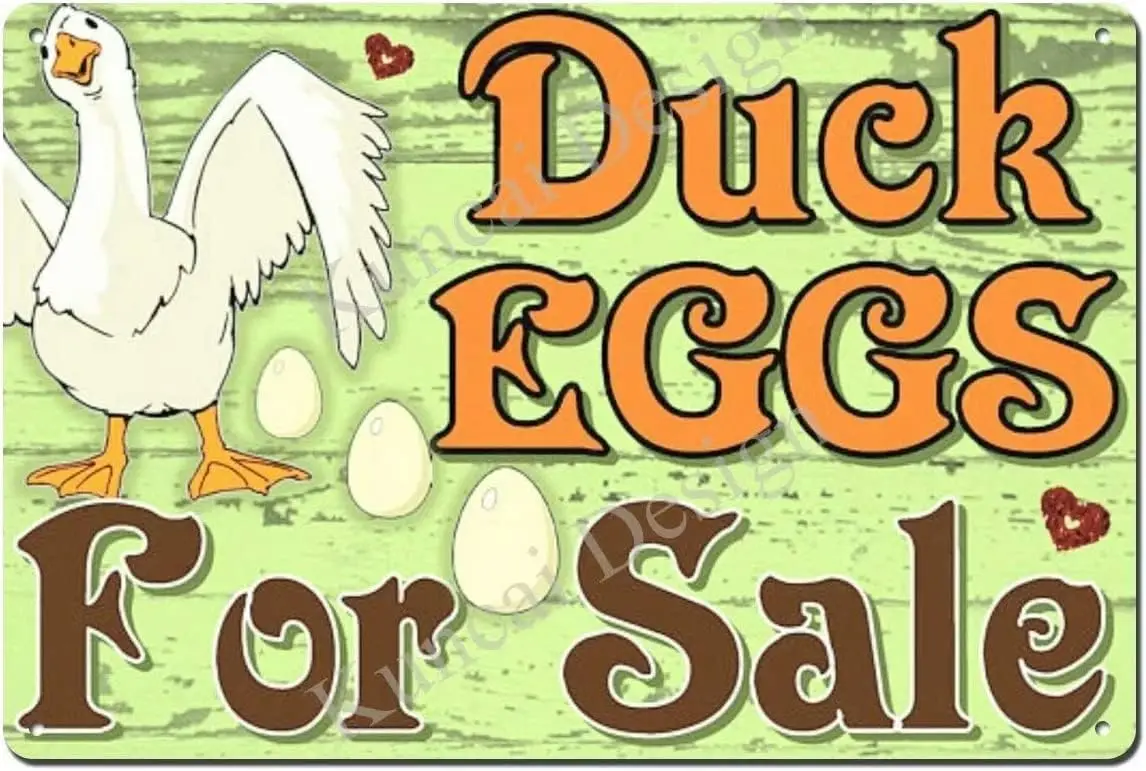 Huevos de pato a la venta aquí tienda de granja granjero aves de corral placa de Metal cartel de pared de estaño Retro Vintage cartel de estaño decoración de gallinero divertido Chic
