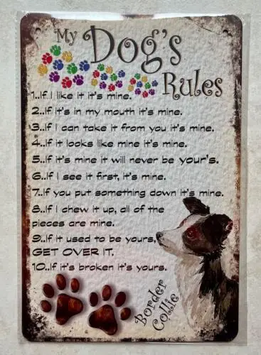 MY DOGS RULES BORDER COLLIE METAL SIGN GIFT MAN CAVE KITCHEN BAR HOME 20x30