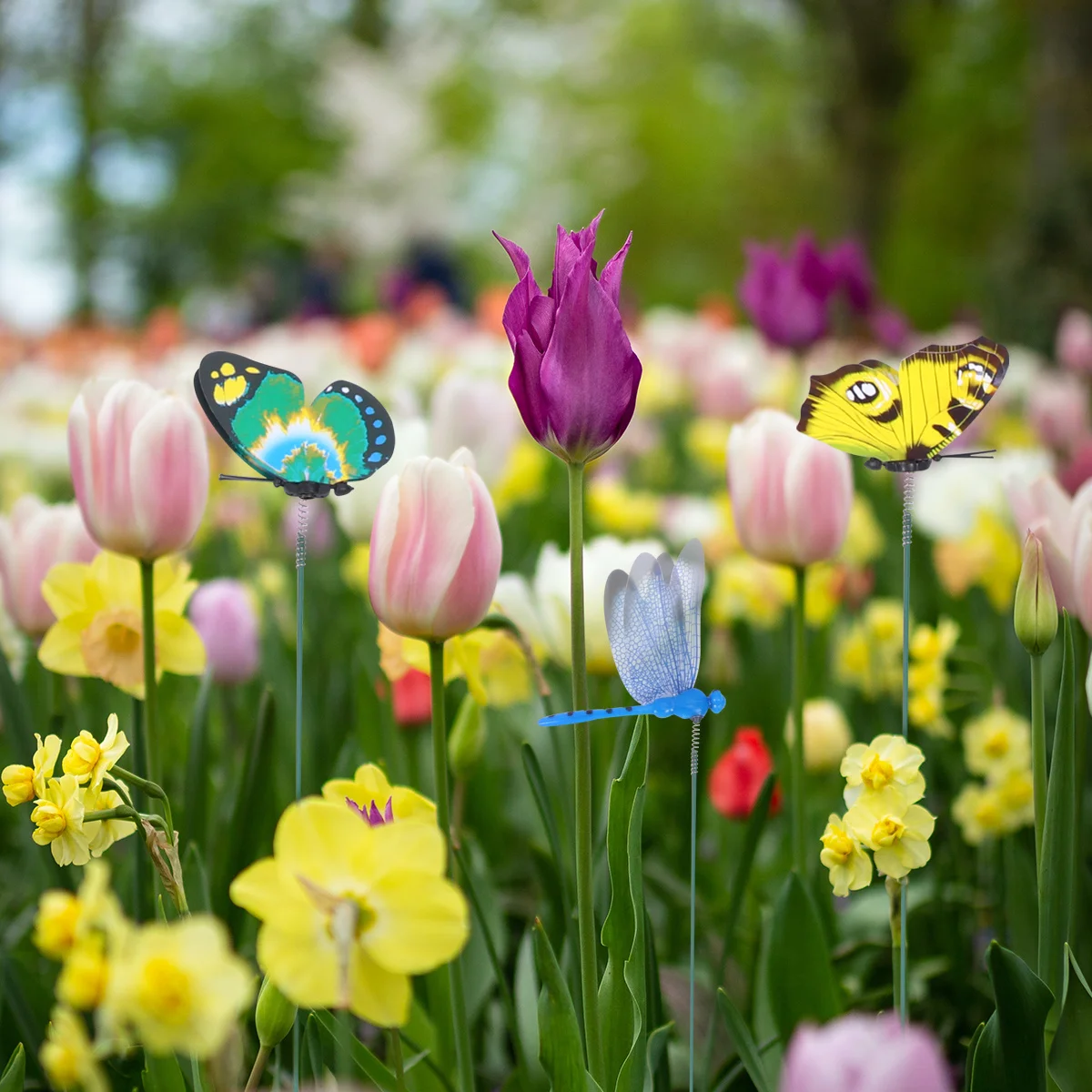 

24Pcs Simulated Dragonfly Rods Colorful Plastic Garden Decorations for Flowerpot Vase Bonsai Office Decor Natural