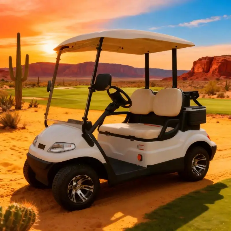 

Мощный электрический багги для гольфа мощностью 1000 Вт с внедорожными шинами, классом 30%, идеально подходит для похорон и грубых терранов