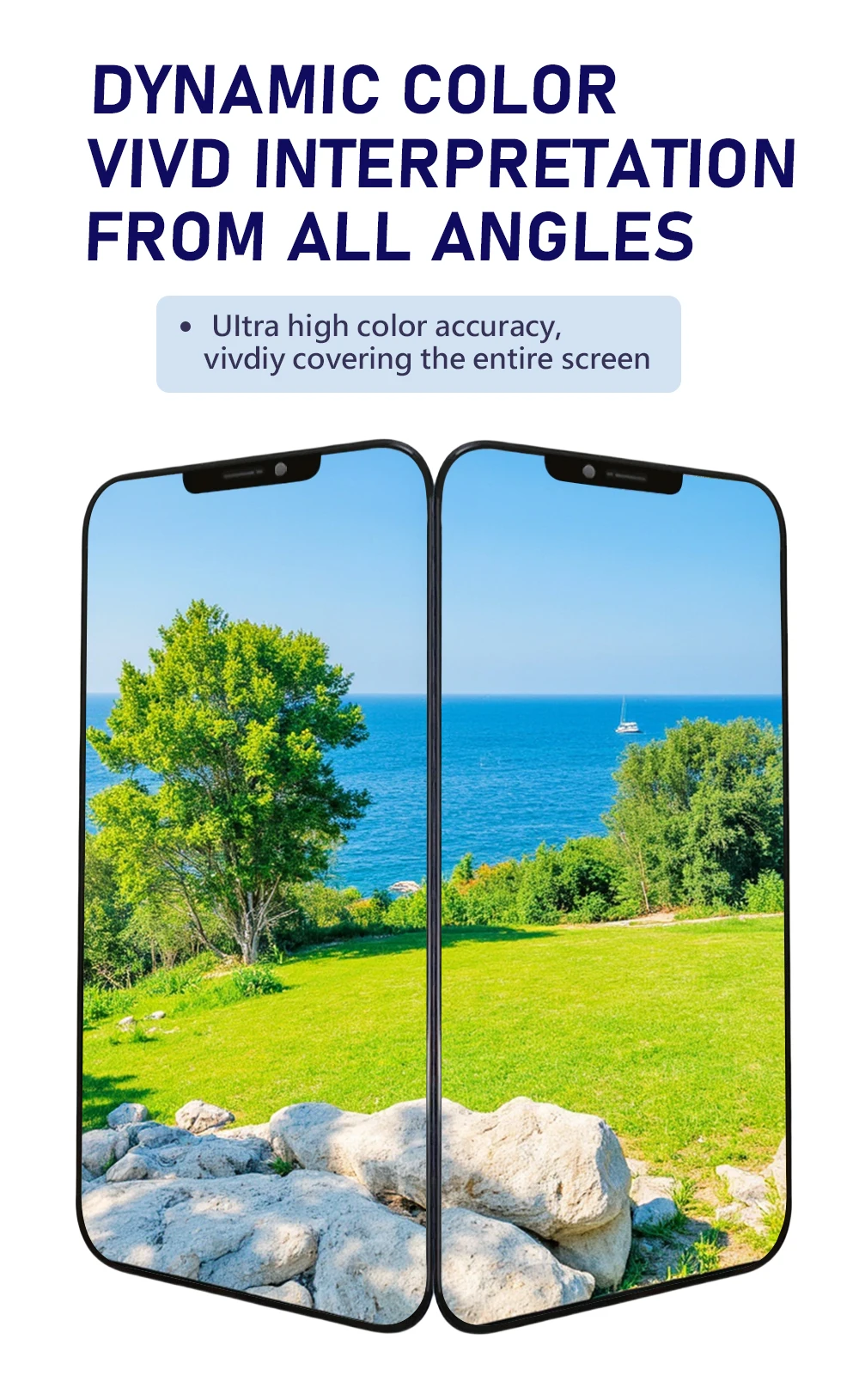 Écran Tactile LCD/OLED Pour IPhone 11 - Neuf Avec Outils - Meilleur Prix Sur Le Marché