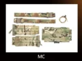 Multicam