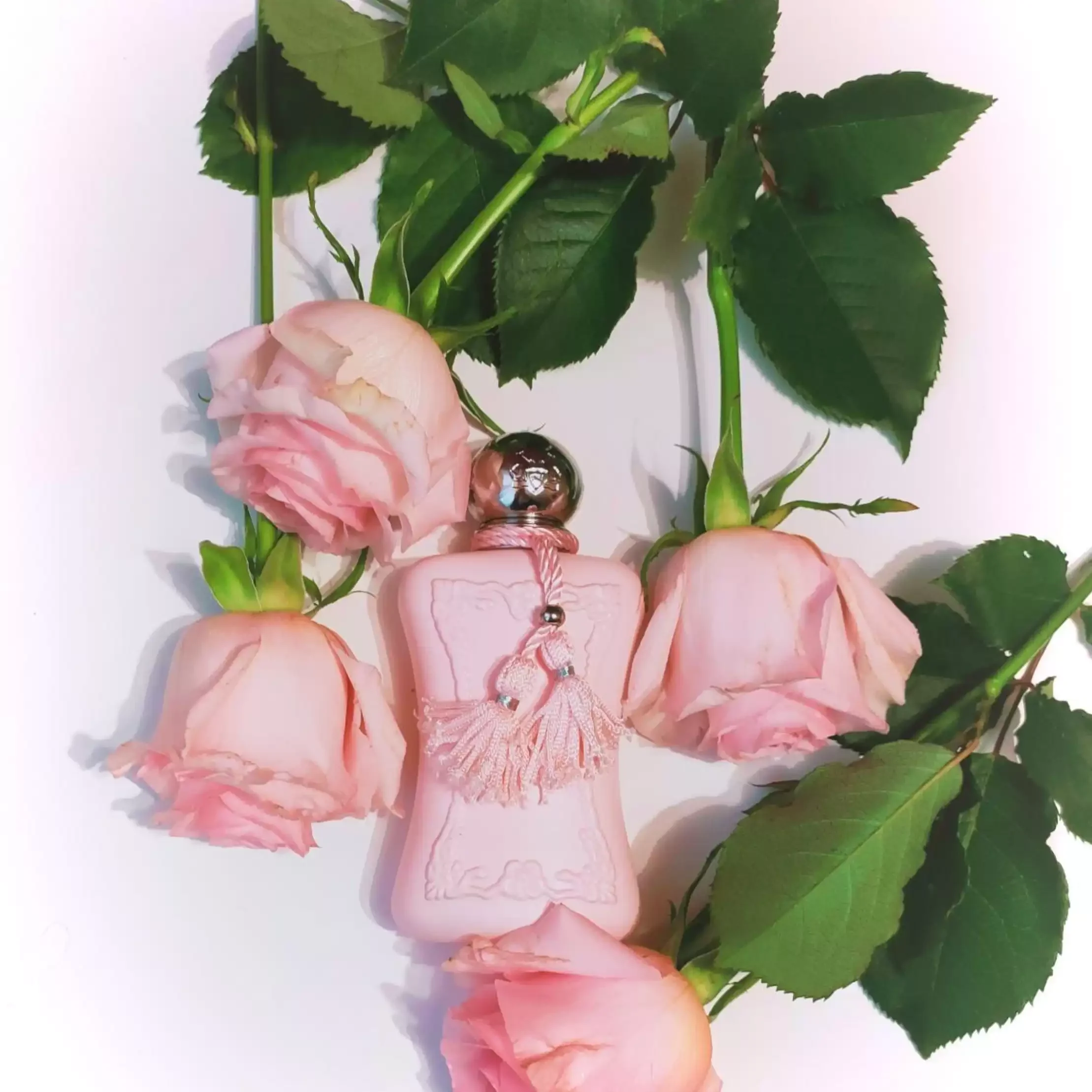 

Brand Rose 75ML Perfume for Women Floral Pheromone Spray Long Lasting Fresh Fragrance Daily Office Vibe Gift