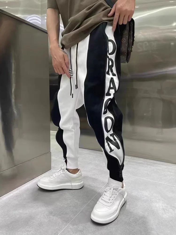 

Мужские спортивные брюки большого размера с боковыми вставками на молнии, свободного кроя, осенние, модные, с надписью бренда, Haome Trousers