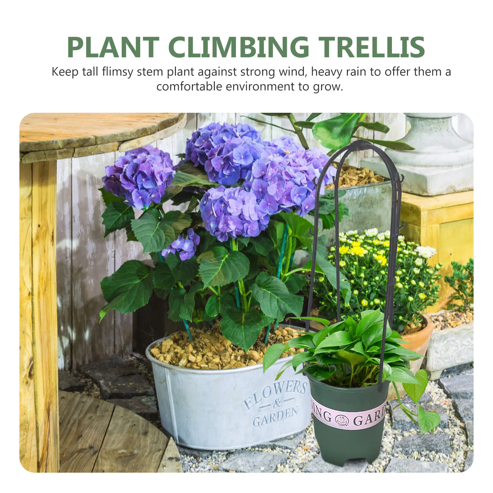 

6 шт., стойка для восхождения в горшках, внутренняя решетка, прочная гладкая поверхность, садовые принадлежности, решетка для растений в помещении