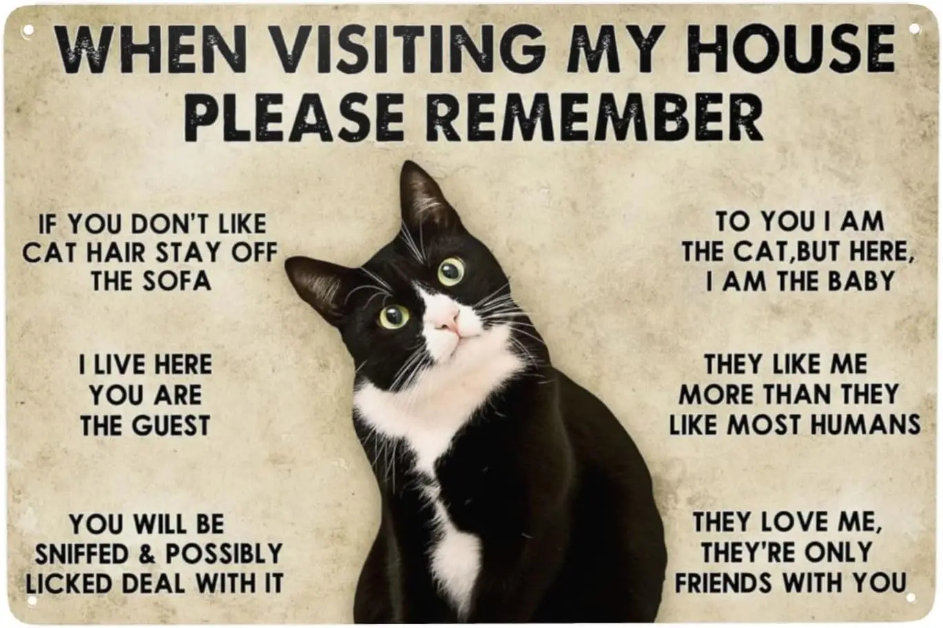 Funny Black Cat Vintage Metal Sign When Visiting My House Please Remember Artwork Wall Decor