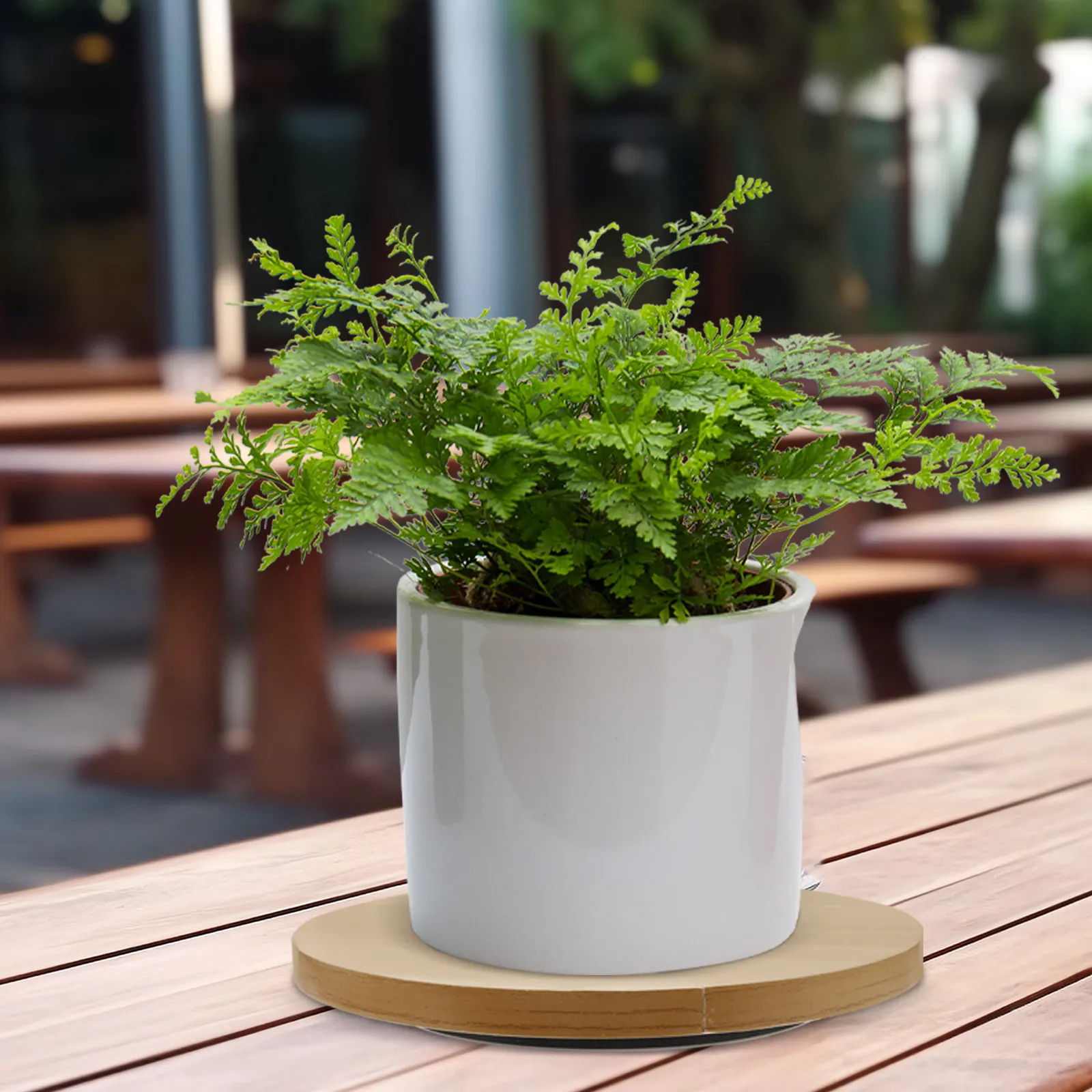 

Многофункциональная вращающаяся подставка для обрезки бонсай: удобная поворотная платформа для садоводства и ухода за комнатными растениями